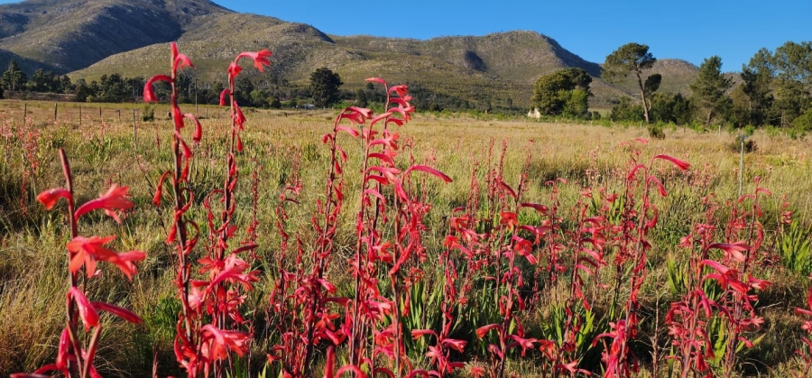 9 Bedroom Property for Sale in Joubertina Eastern Cape